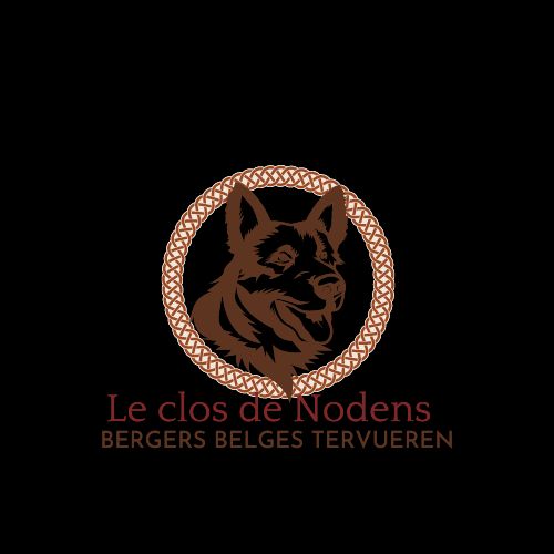 Du Clos De Nodens - Actualités Elevage